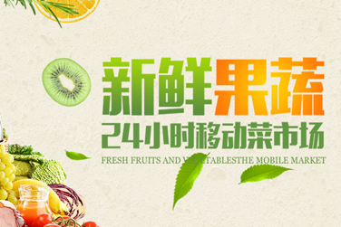 社会生鲜蔬菜配送商——营销型网站展示